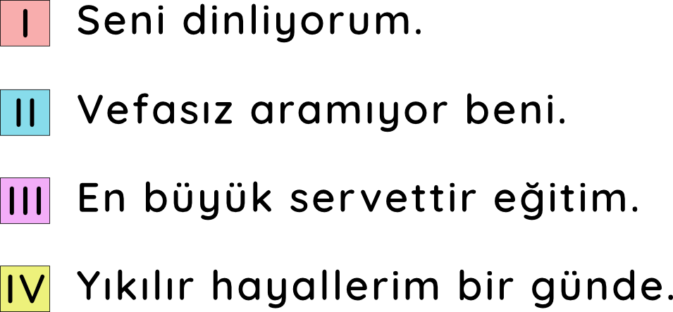 4-s-n-f-c-mle-bilgisi-test